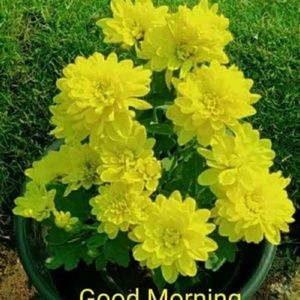 Meet your Posher, Mugdha